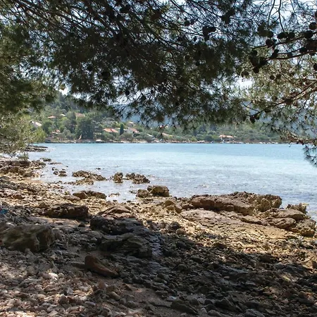 Beautiful In Gradina With Kitchen Ferienhaus Rudina